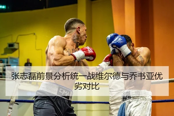 张志磊前景分析统一战维尔德与乔书亚优劣对比