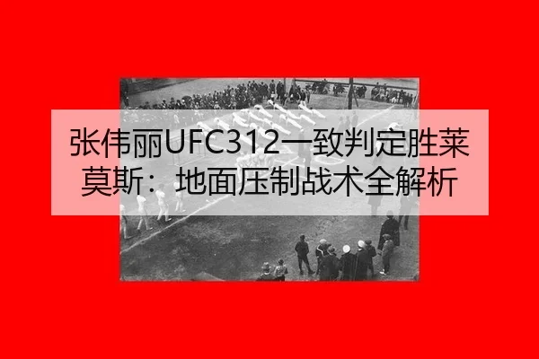 zhang-wei-li-yi-zhi-pan-ding-sheng-lai-mo-si-di-mian-ya-zhi-zhan-shu-quan-jie-xi-2-813.jpg